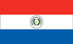 Paraguay flag 2013